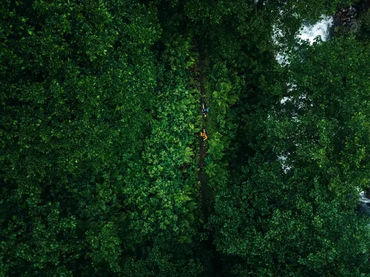 kackarda utmb dunya serisi yarismasi s22uQ2bf