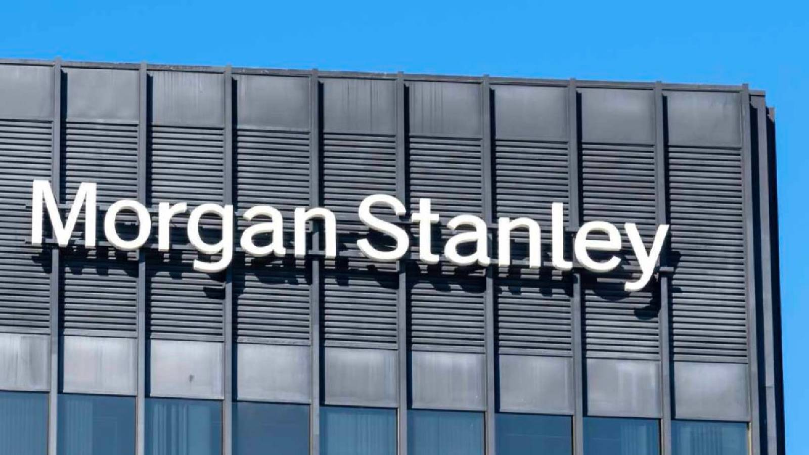 morgan stanleyden turkiye tahmini faiz enflasyon ve asgari ucret ne kadar olacak TqwsXUC8