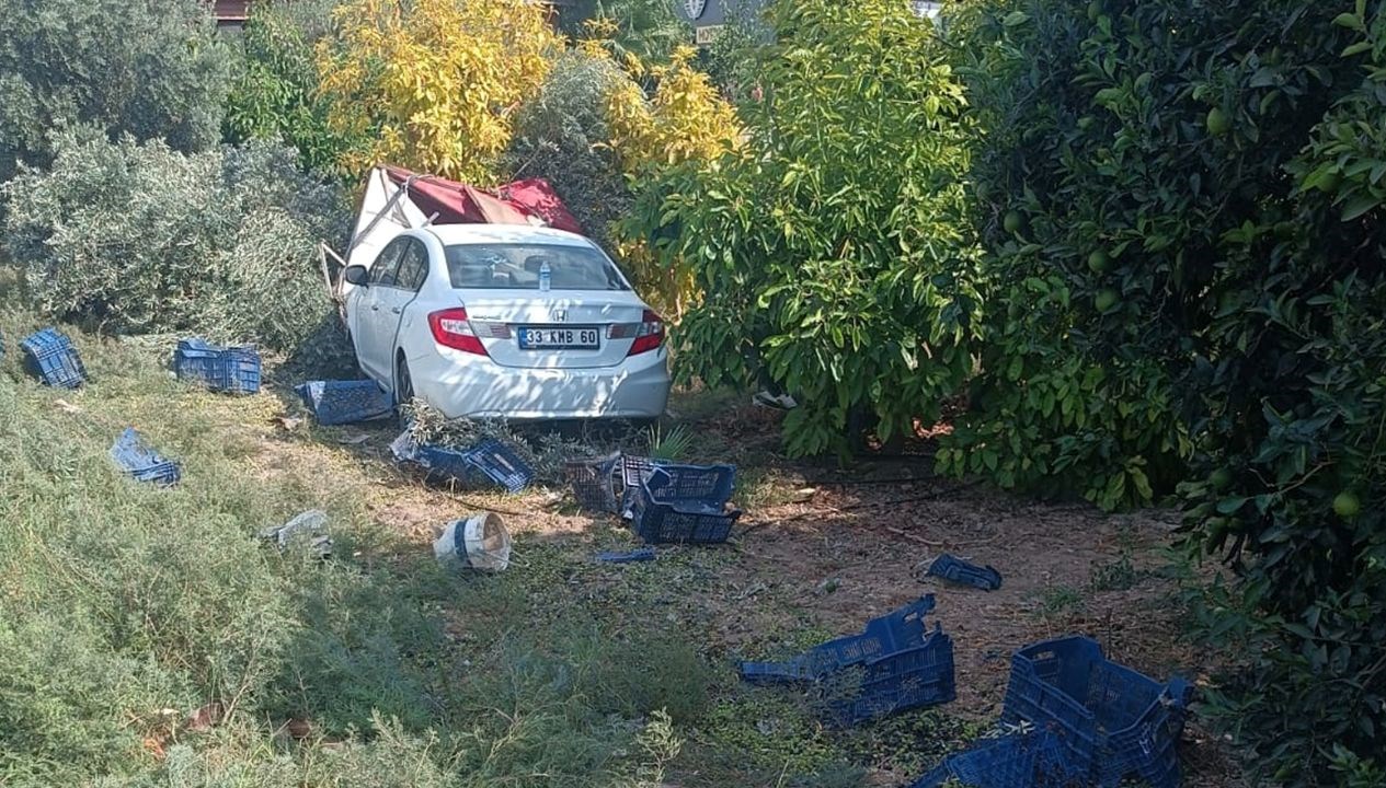 zeytin toplayan iscilere carpti olu sayisi yukseldi 2SX9a9lL