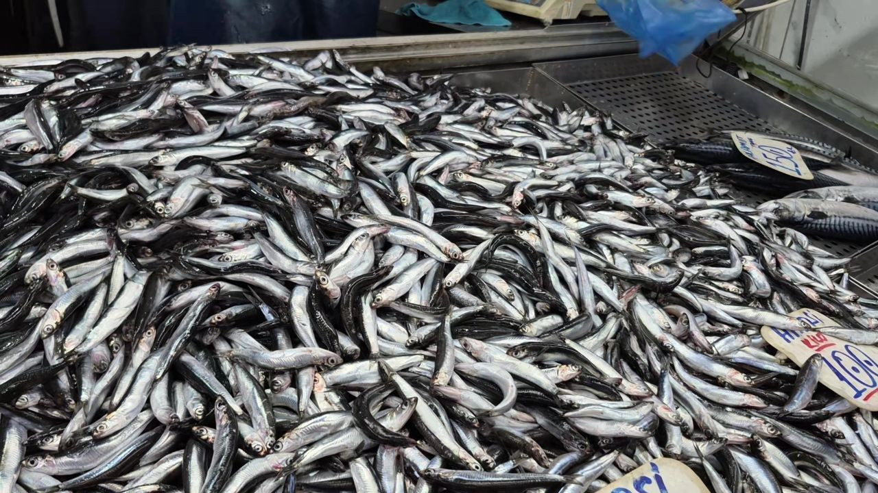 balikci esnafi yanitladi balik fiyatlari daha da duser mi nE6jHUlN.jpg