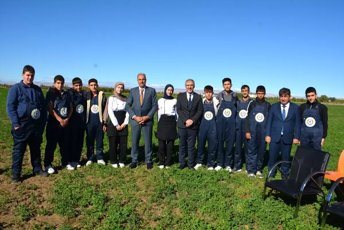 battalgazi tarim lisesinde misir hasadi gerceklestirildi IHdrNAb2.jpg