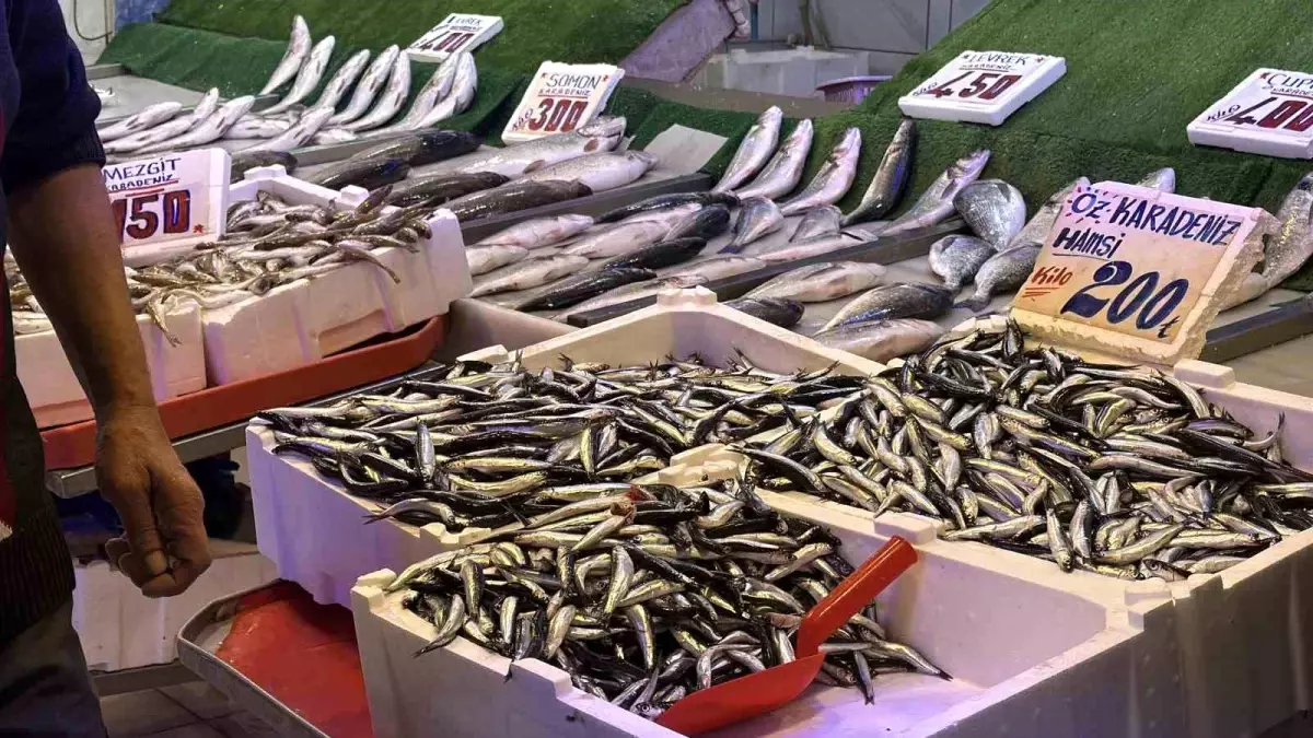 hamsi tezgahlarda palamutun yerini aldi A5Jm3sxE.jpg