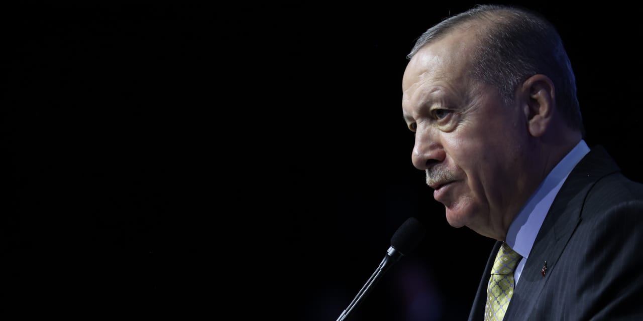 erdogan ne demek istedi ozel boyle giderse chp ya sanziman dagitacak fPmJLuJE.jpg