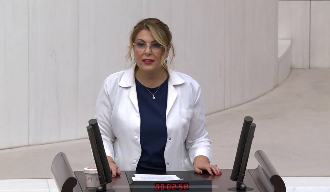 chpli-gezmis-meslektaslarinin-talebini-dile-getirdi-yesil-pasaport-eczacinin-hakkidir-usQqvPfz
