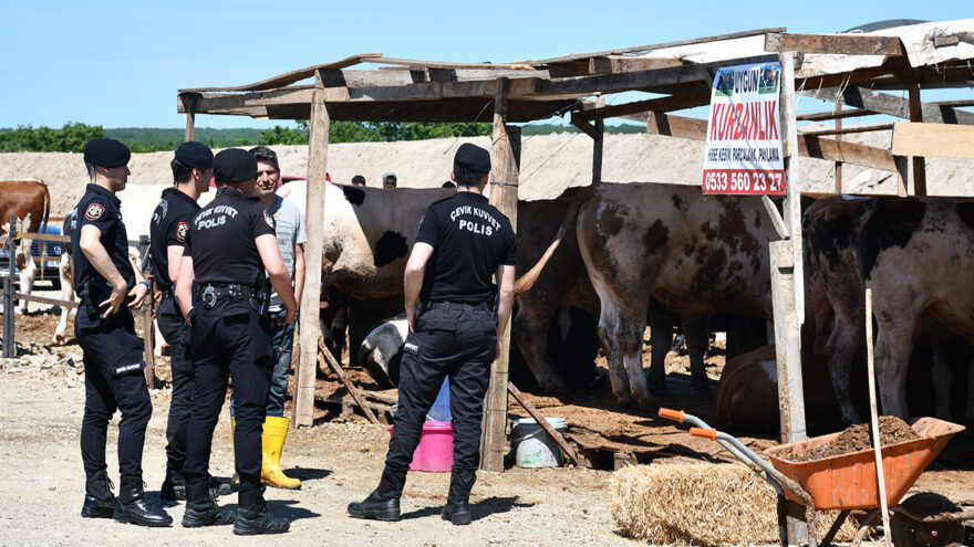 Kurban Pazarında Gergin Anlar: Yer Kavgası Yaralıları Kucakladı