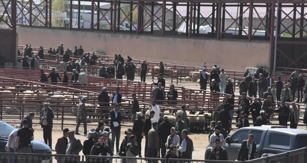 kurban-bayrami-oncesi-hayvan-pazarinda-kan-akti-1-olu-13-yarali-zPMeJ9gZ