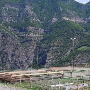 Artvin’deki Kurban Pazarı Tükeniyor: Hem Satıcı Hem Alıcı Yok