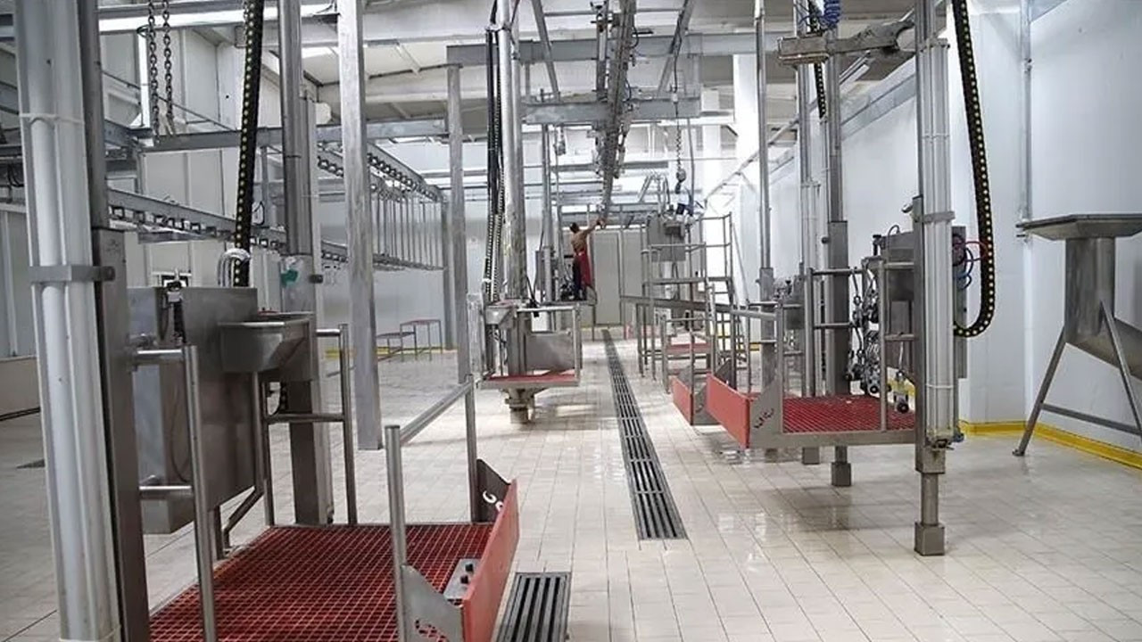 Kesimhanelerde kamera zorunlulugu 2027de baslayacak MNQEkeGx